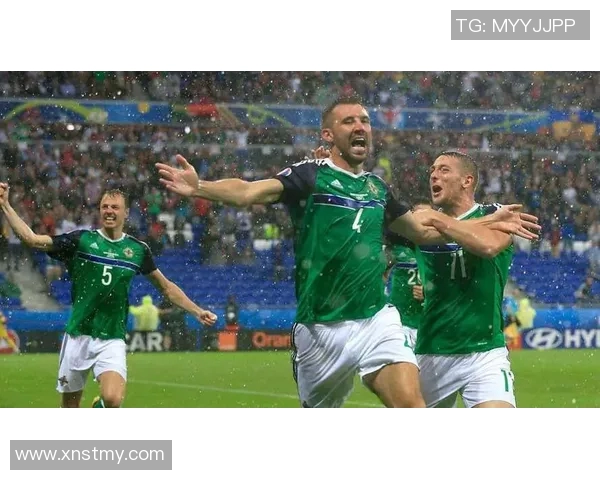 丹麦与爱尔兰足球赛现场直播精彩回顾与赛后分析